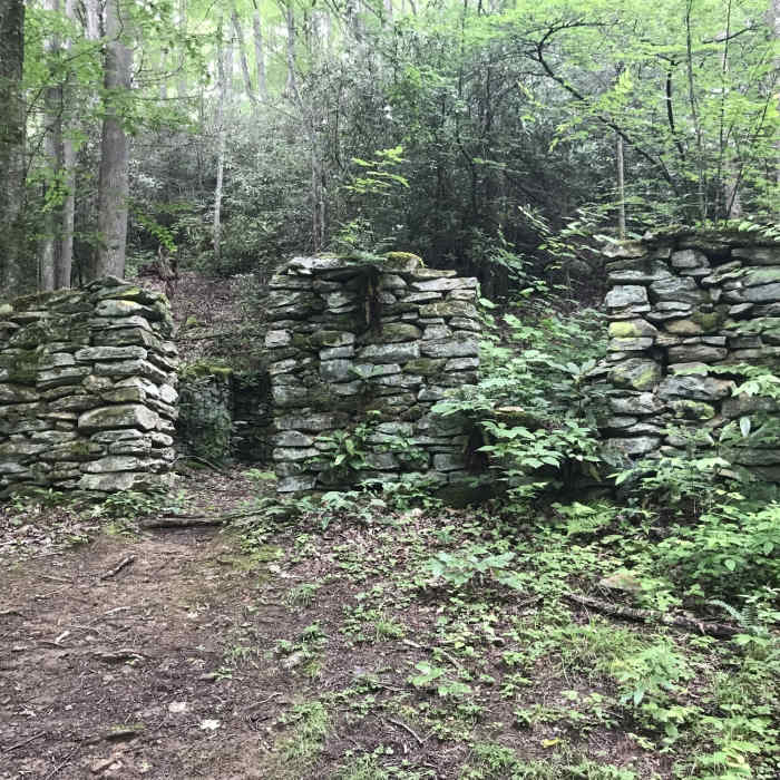 Near Little Cataloochee Trail