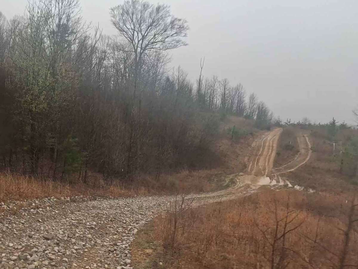Q4 trail photo