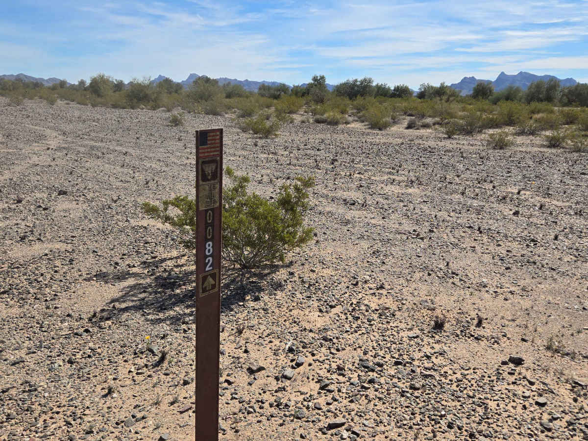 Across the Flats - BLM 0082 photo 3