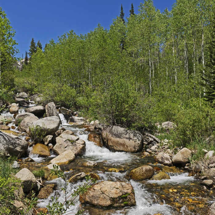 Near Silver Lake Trail