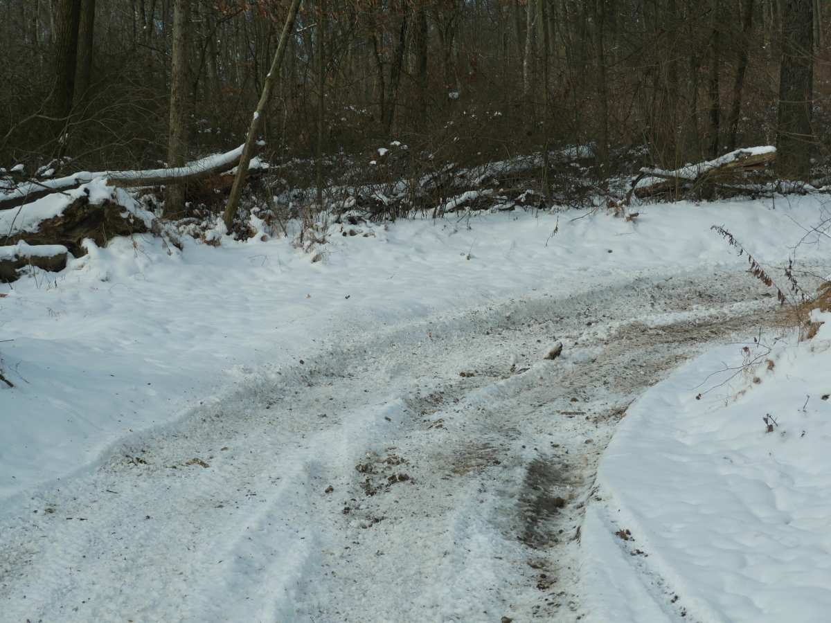 Trail 23 photo 6