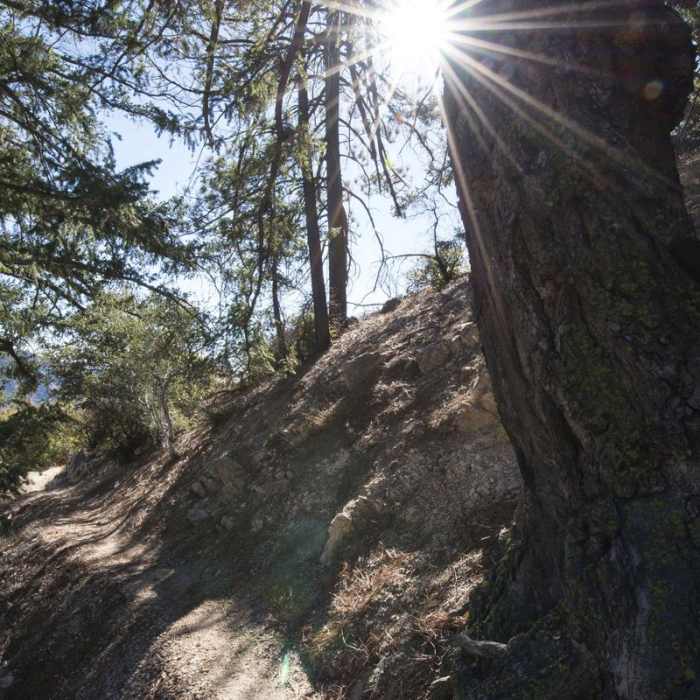 Near Devils Canyon Trail Hike