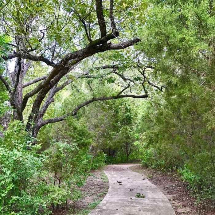 Woodlands Park & Nature Preserve... easy trail loop around the park and creek/lake area. Near River Place Nature Trail