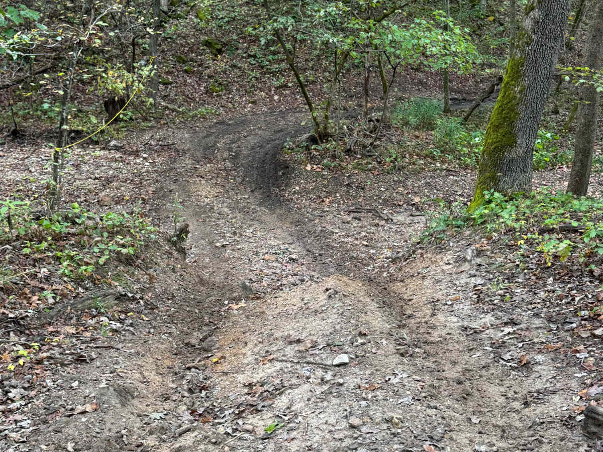 The Wart trail photo