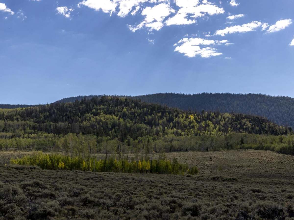 Sheep Valley Road photo 2