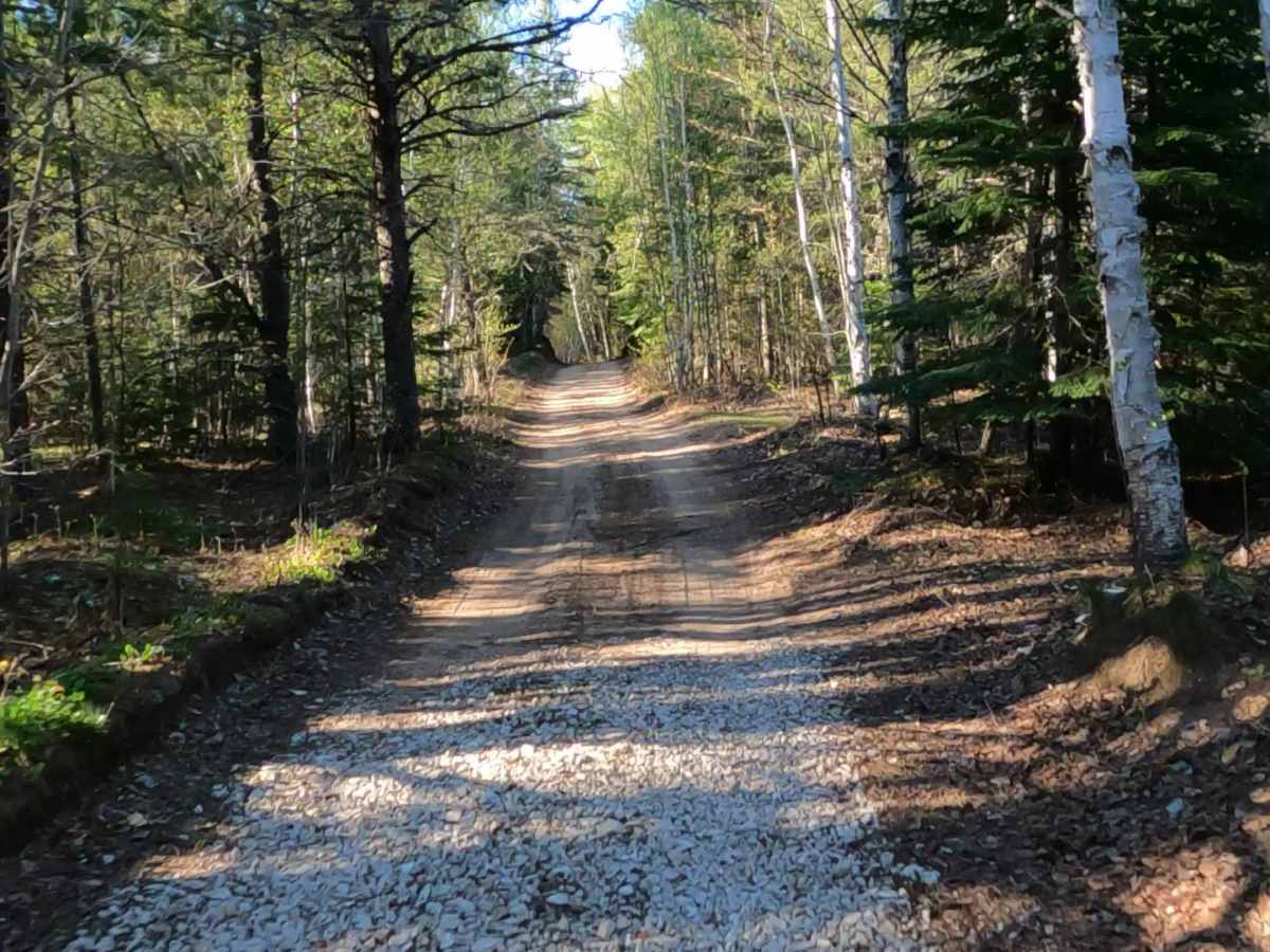 North Brooks Road photo 3