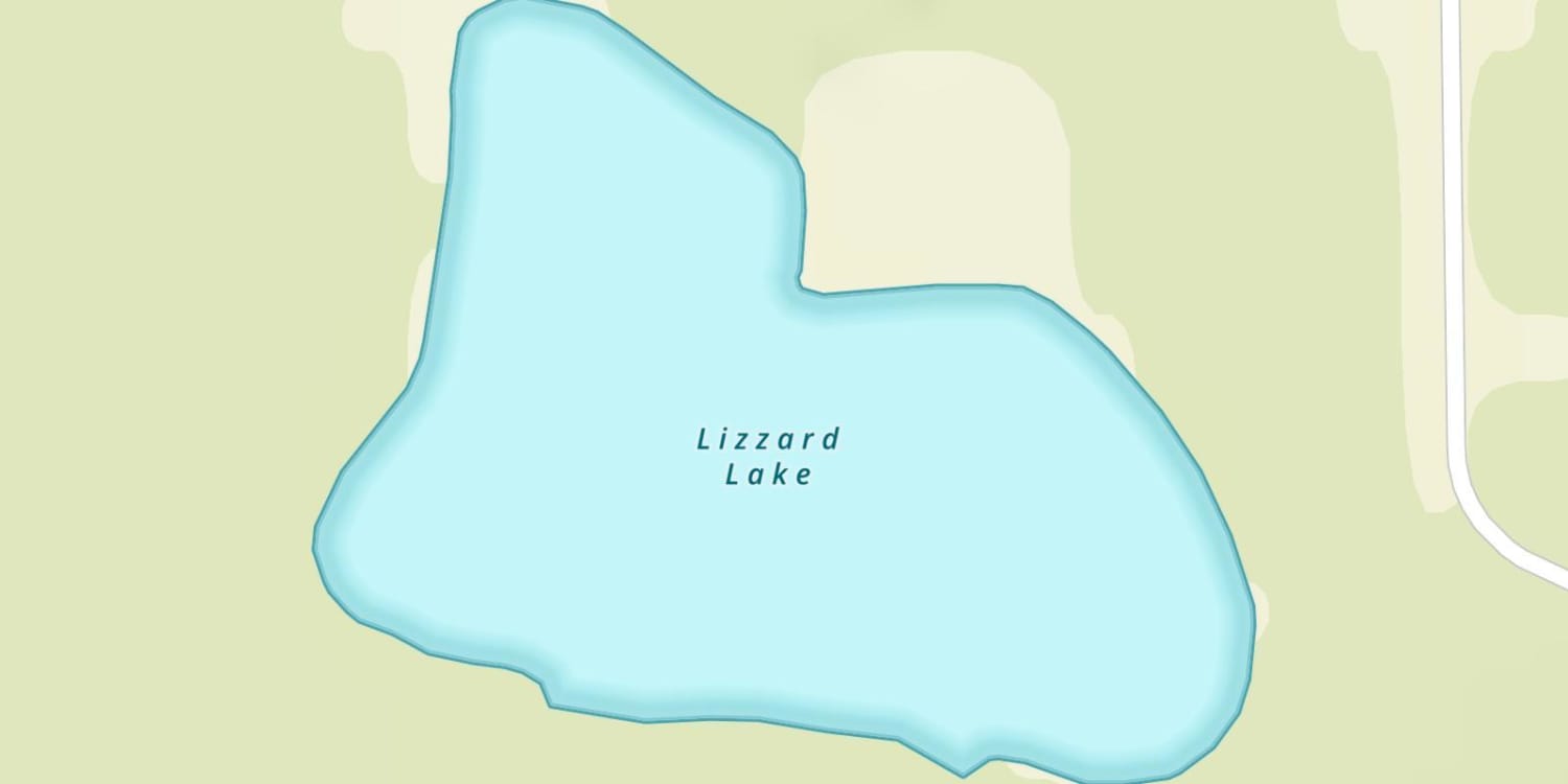 Lizzard Lake
