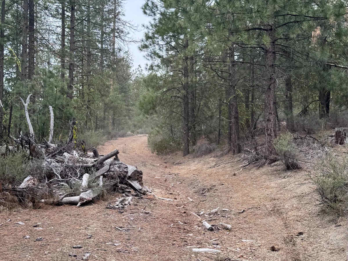Skellock Pit - FS 4300800 trail photo