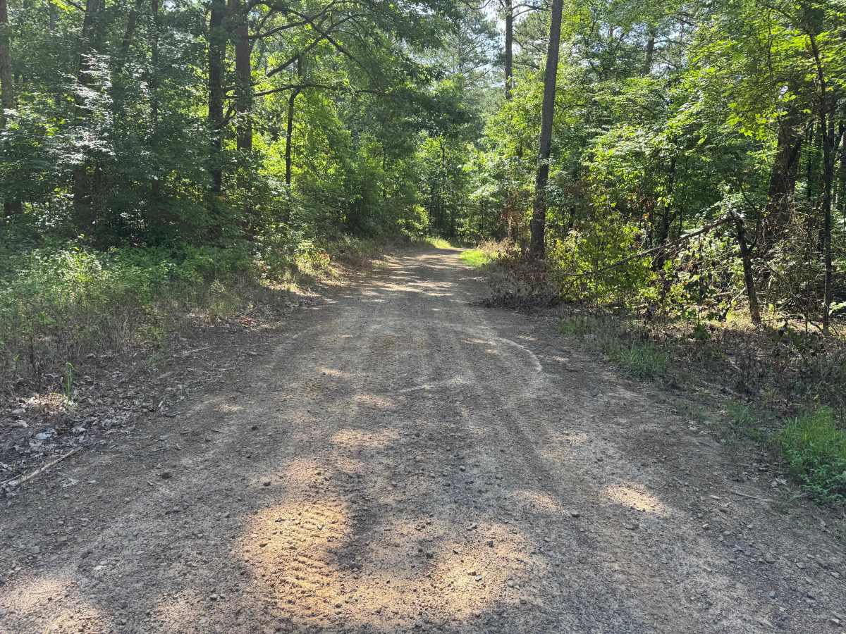 Pleasant Ridge trail photo