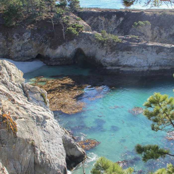 Near Bird Island Trail