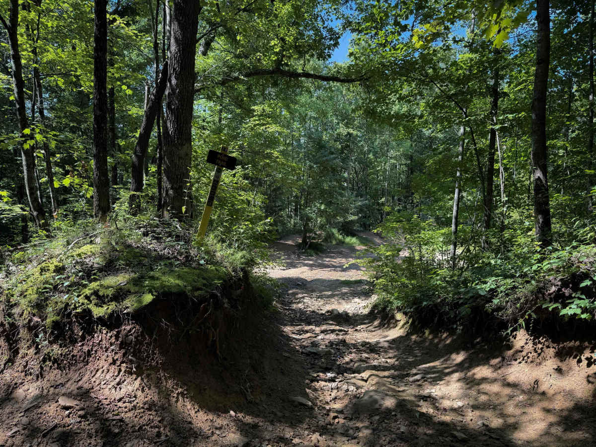 Pond Trail 29  trail photo