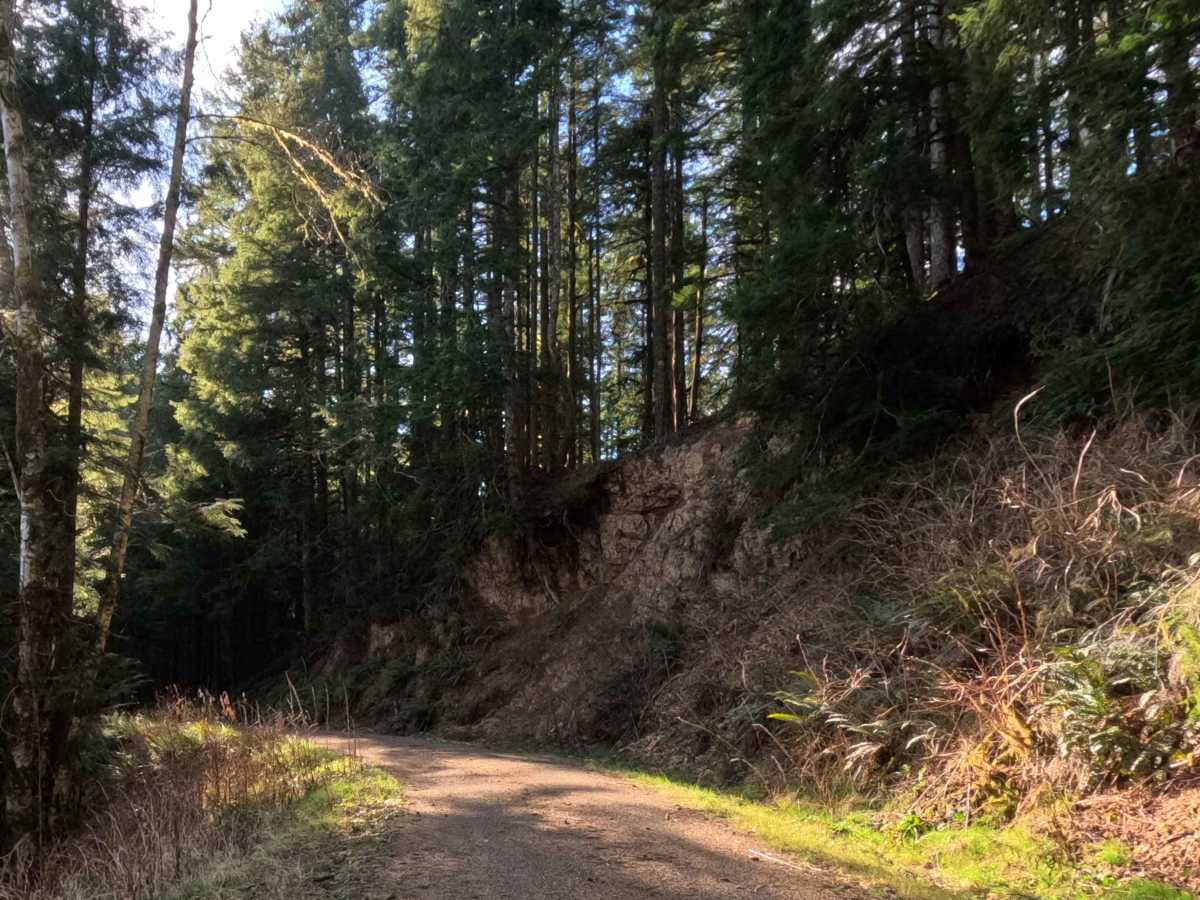 Farmer Creek  photo 2