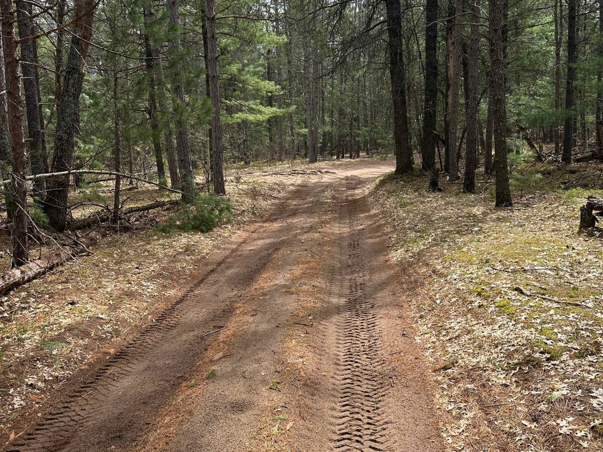 Manistee River Loop photo 5