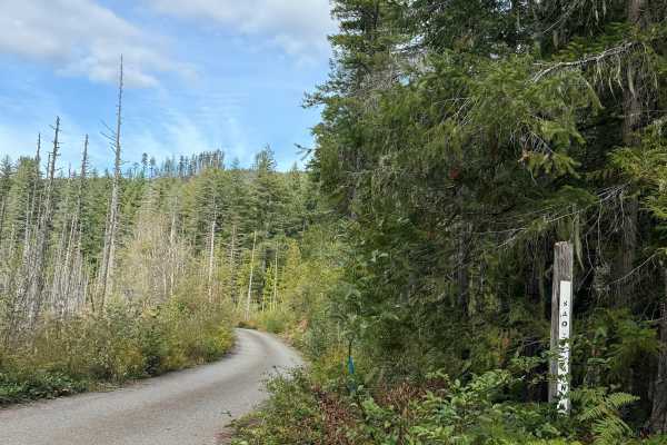 Saddle Mountain Road