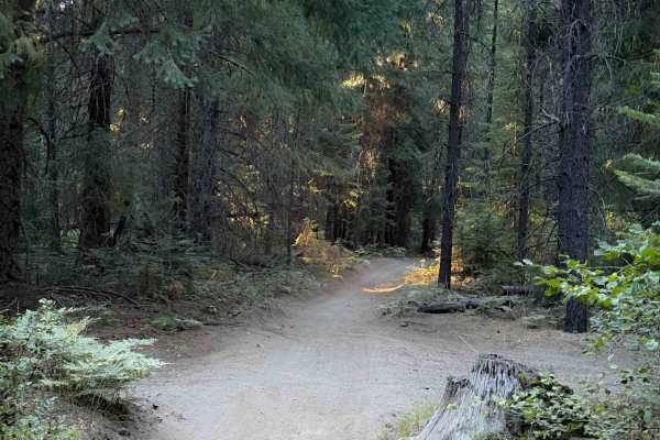 Perimeter Trail #40  