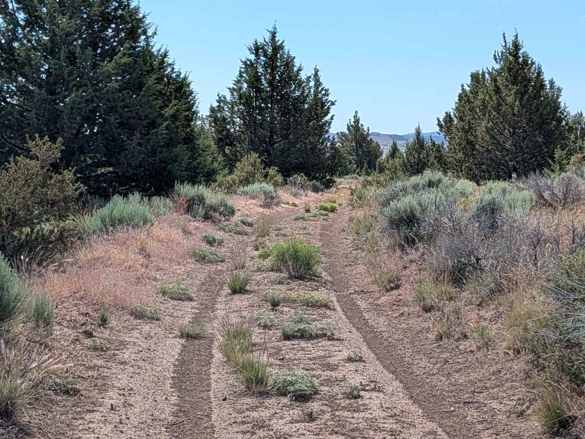 FS 46N21M trail photo