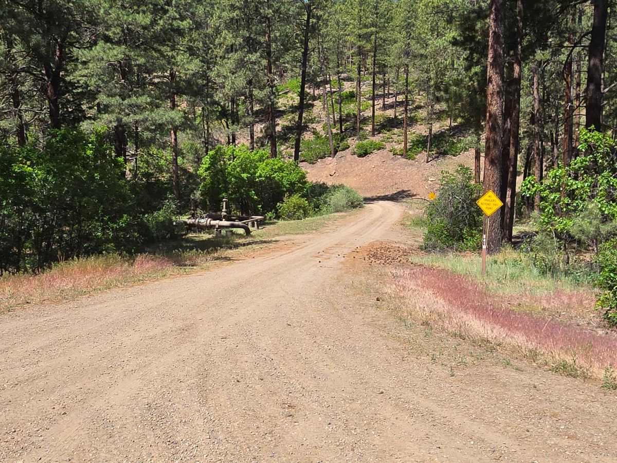 Bull Creek Trail - FS 682 trail photo