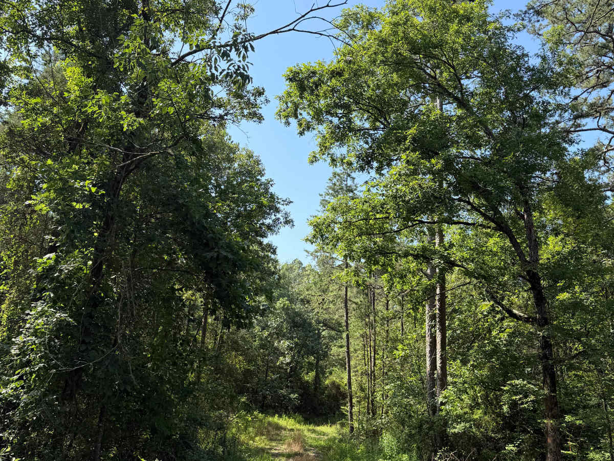 Squeeze photo 4