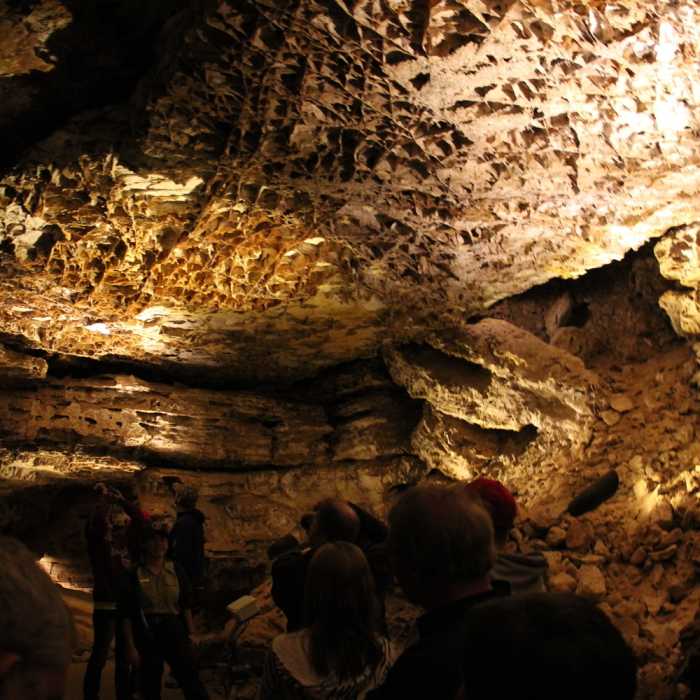 Near Prairie Vista Trail