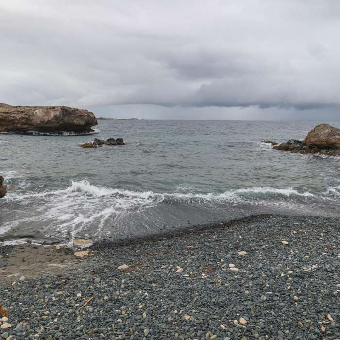 Near Blackstone Beach Trail Near Blackstone Beach Trail