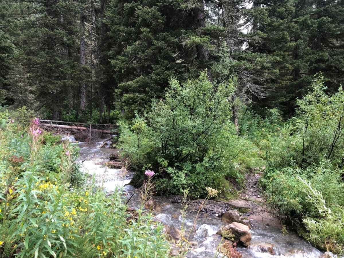 Palisades Indian Creek photo 6