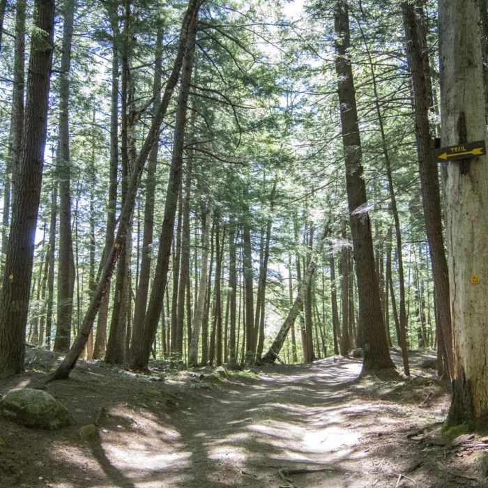 Near Pharoah Mountain