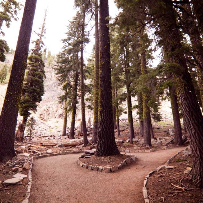 Near Plaikni Falls Trail