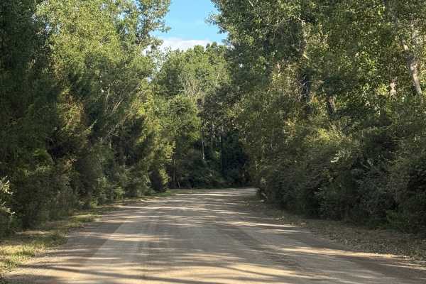 Cedar Lake Trail