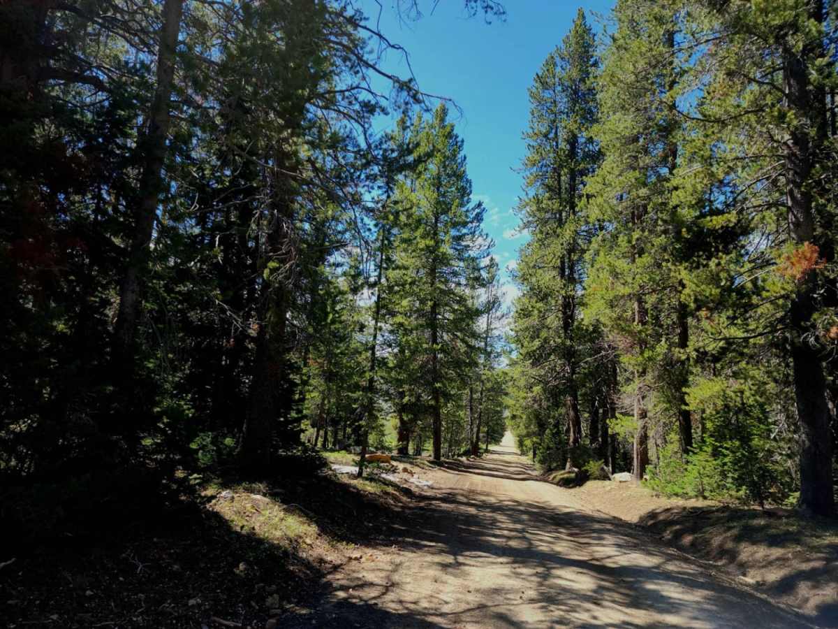 Franklin Basin Idaho Section photo 3