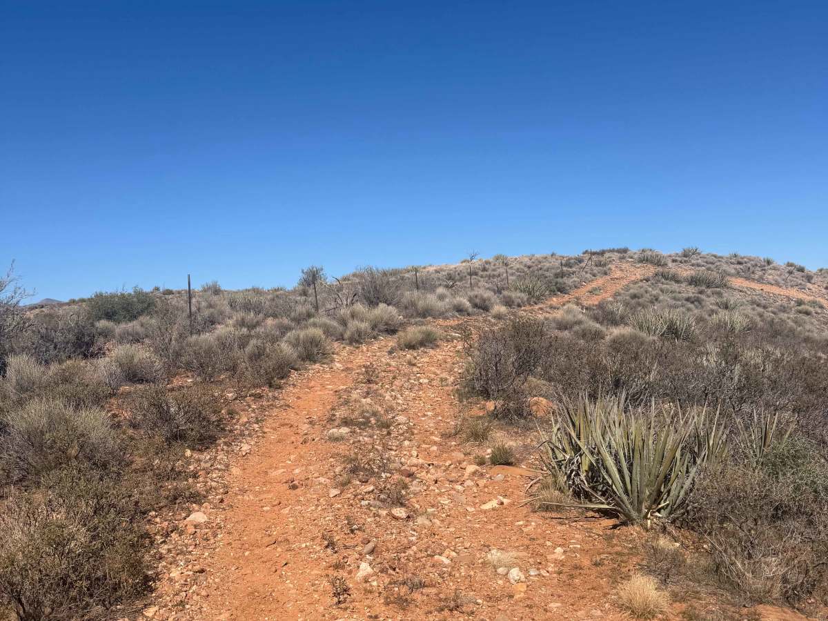Ridgeline Romp photo 6