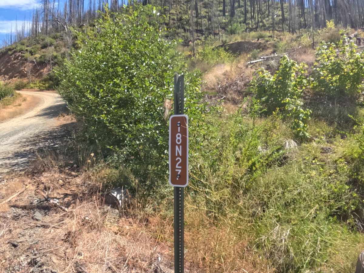 Tom Gray - FS 18N27 trail photo