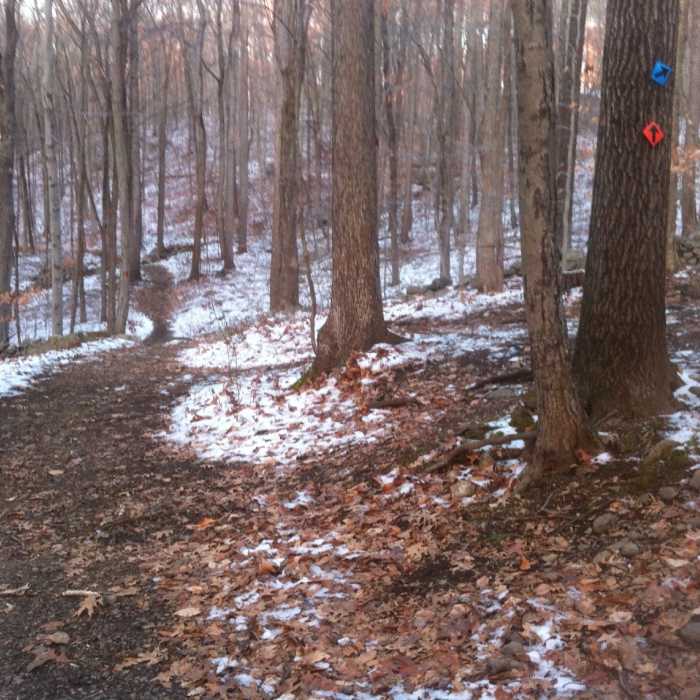 Near Orange Trail