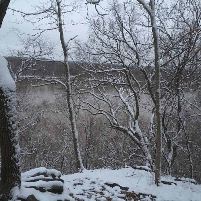 Absolutely beautiful snow covered hike Near Lewis Trail