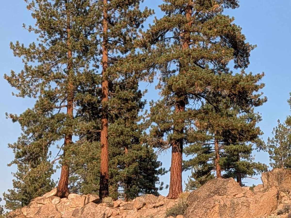Granite Boulder Scenic Road - FS 4S40 photo 2