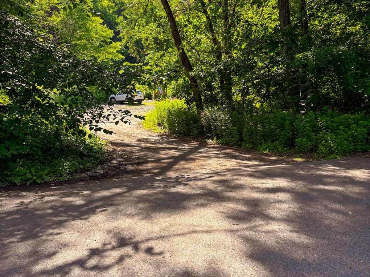 Cold Springs Road photo 6