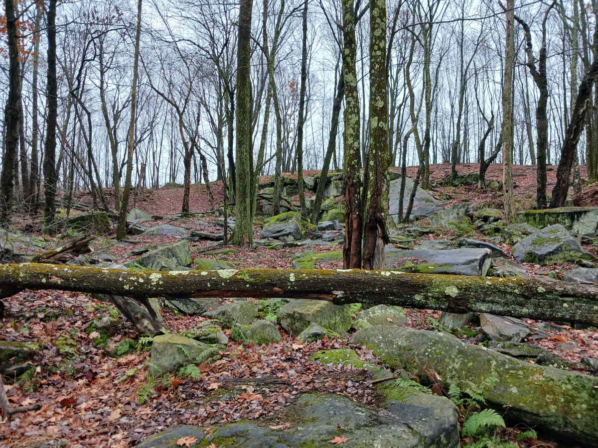 OHV 34 - Rock Run Recreation Area photo 6