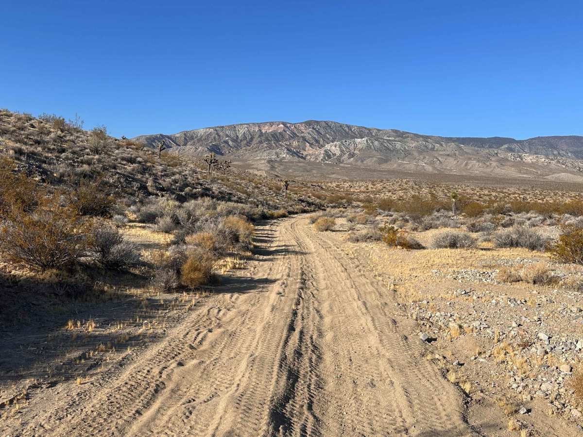 Outpost Trail photo 2