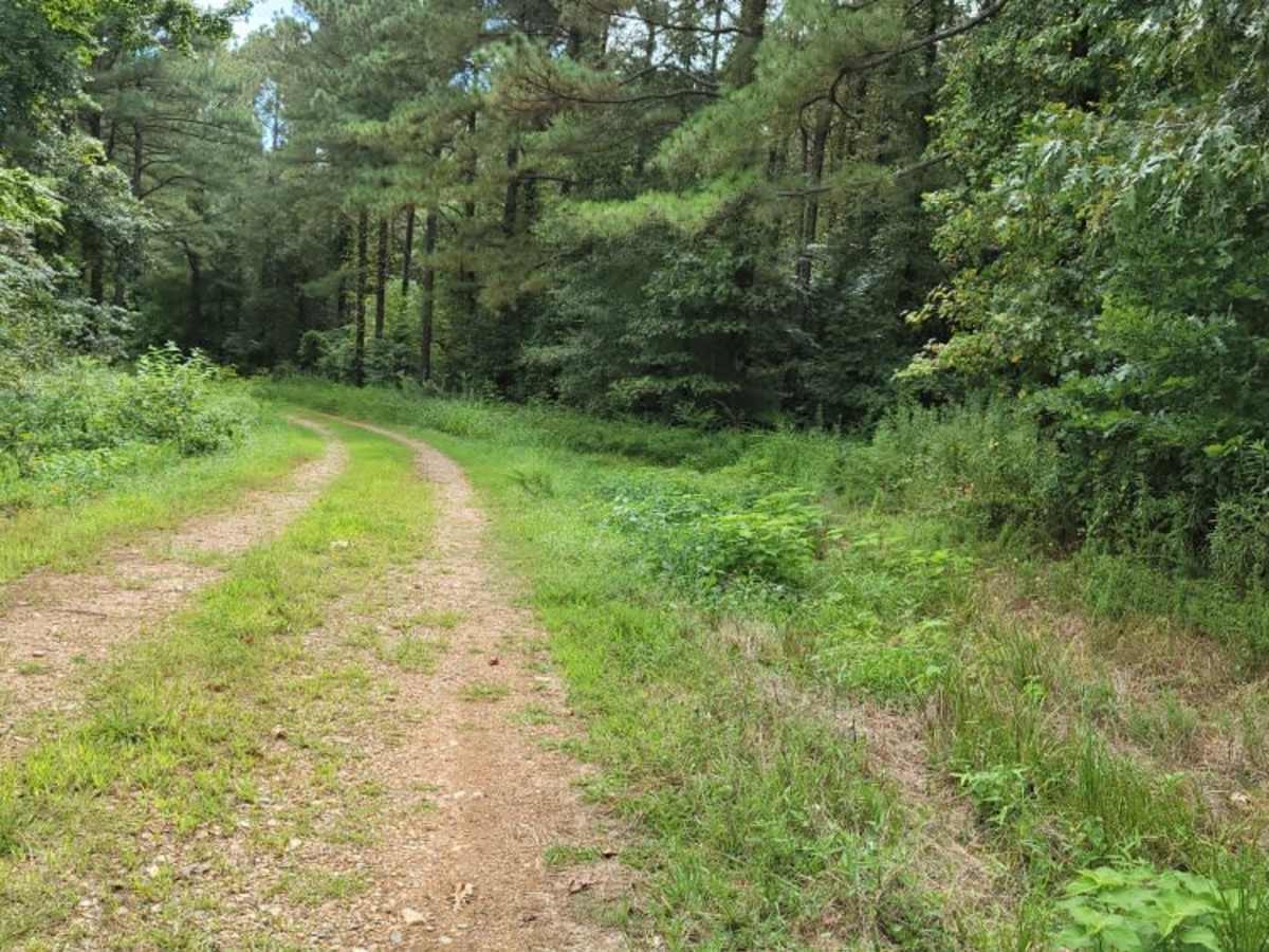Bell Lake Access photo 4