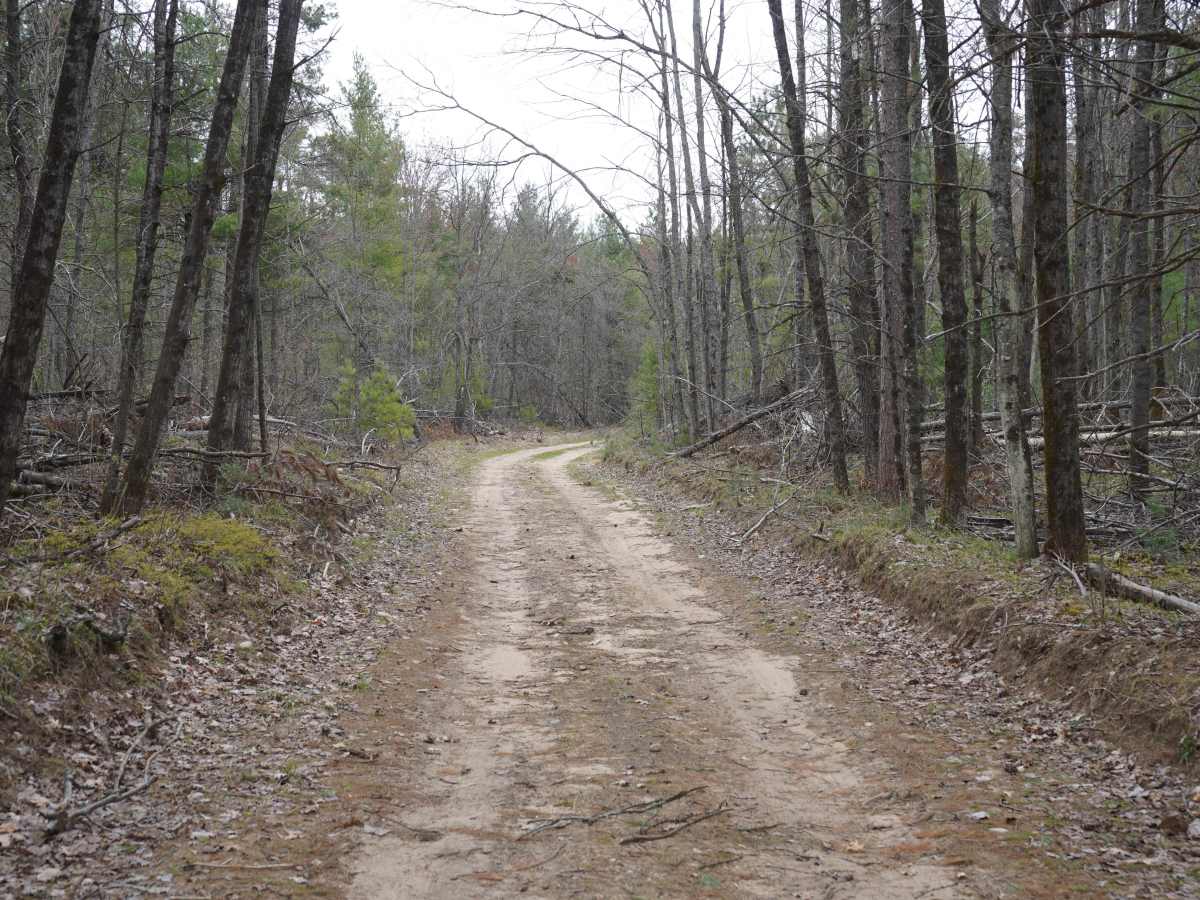 McComber Trail - FS 4482 photo 3
