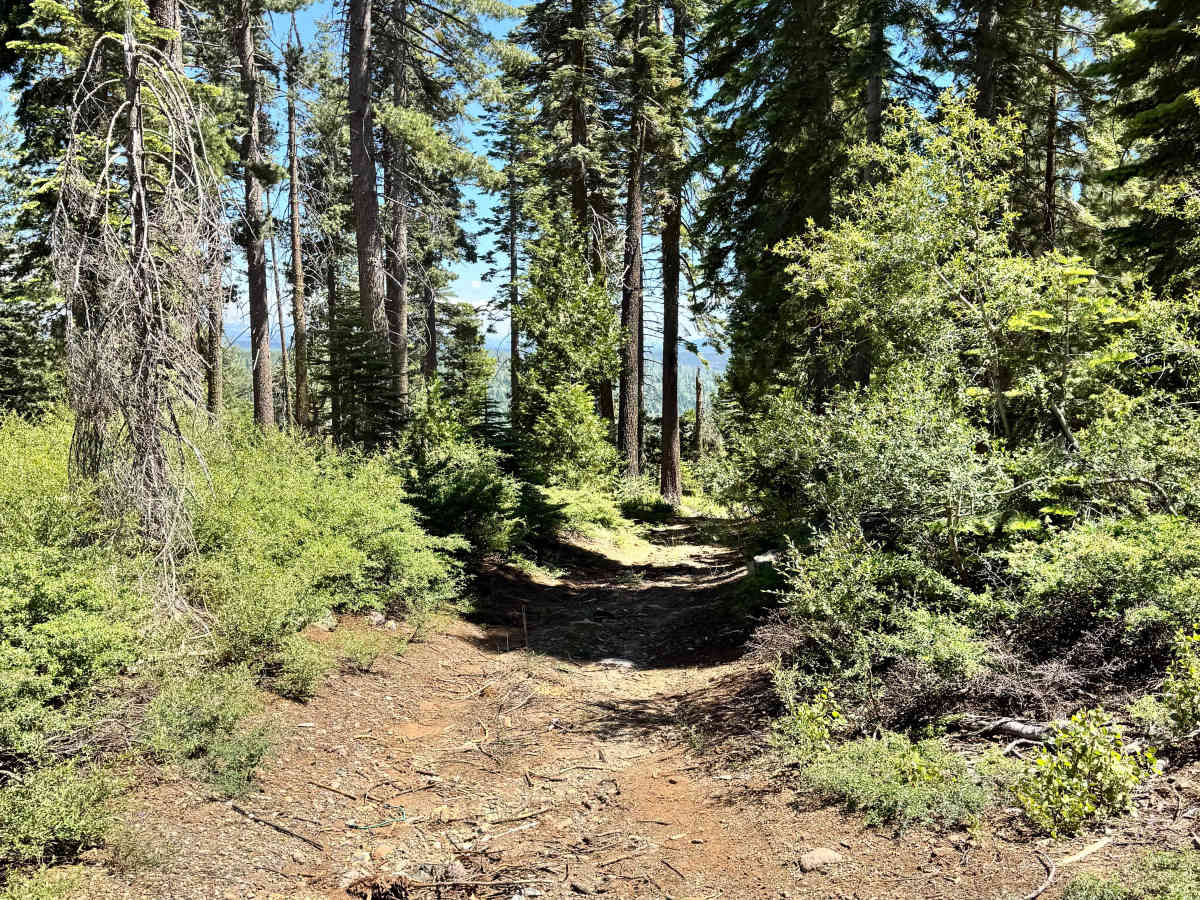 Yellow Jacket Spur trail photo
