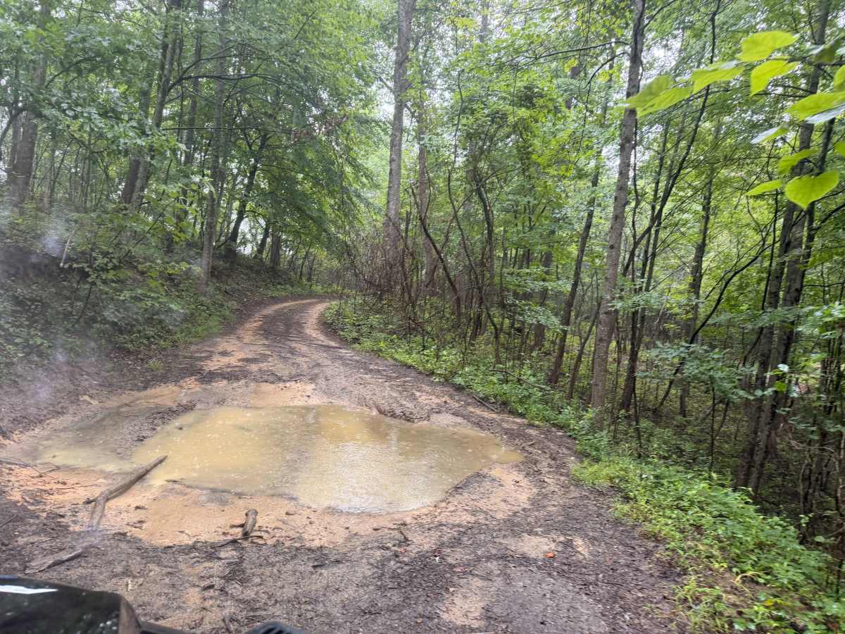 15 trail photo
