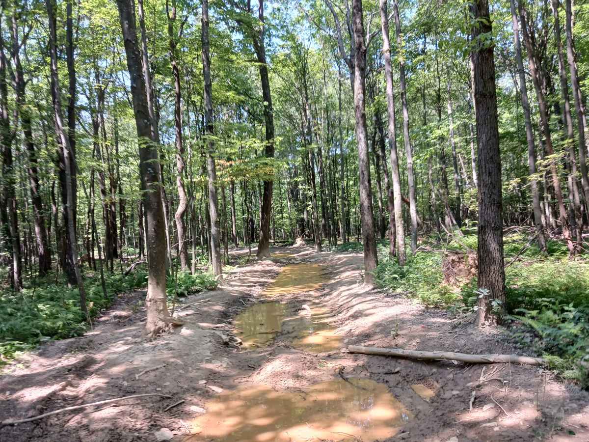 Skunk Loop - Rock Run Recreation Area photo 4