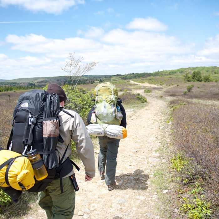 Bear Rocks Trail Near Dolly Sods Challenge Hike - circumnavigation