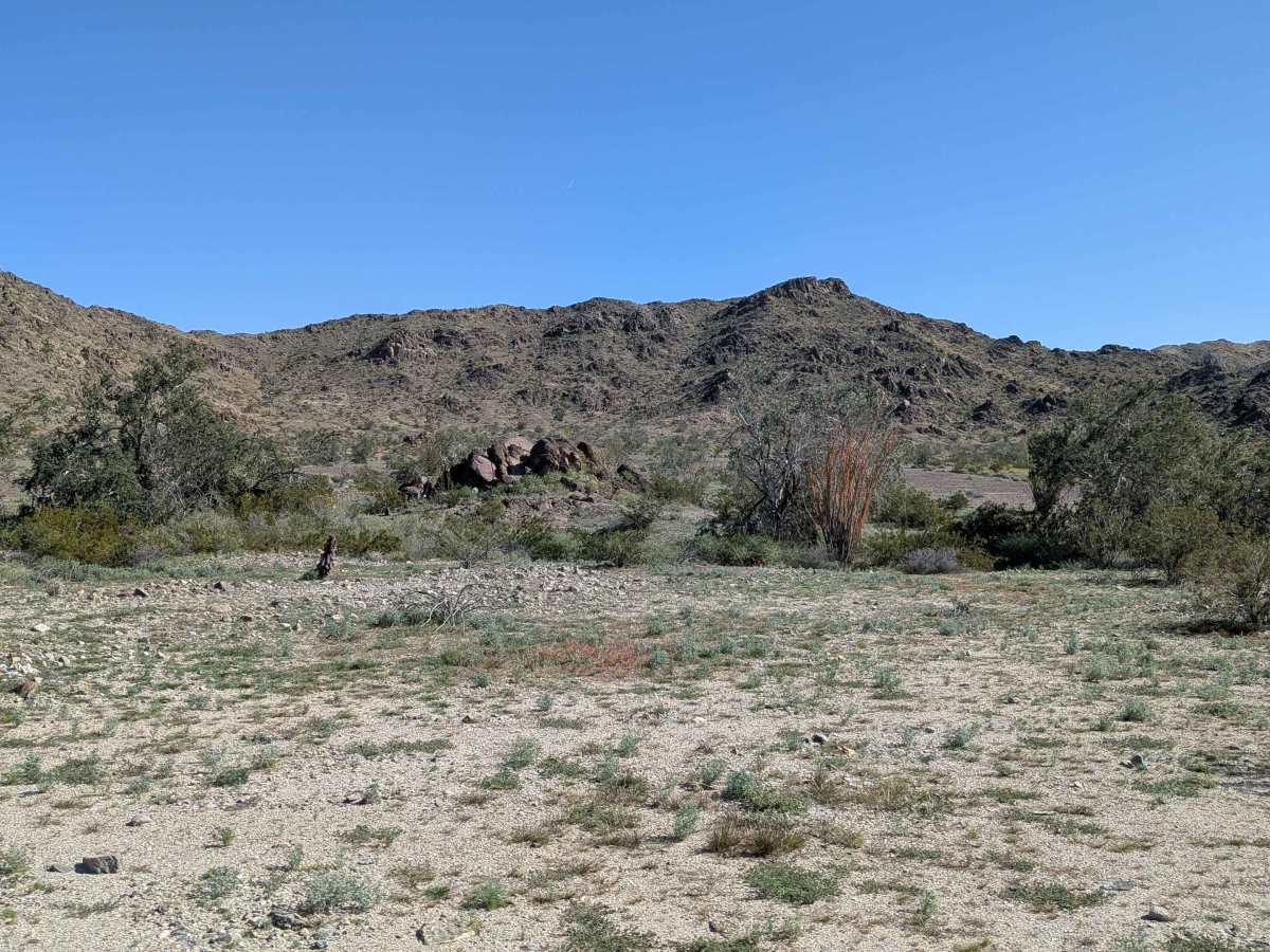 BLM 311 photo 2