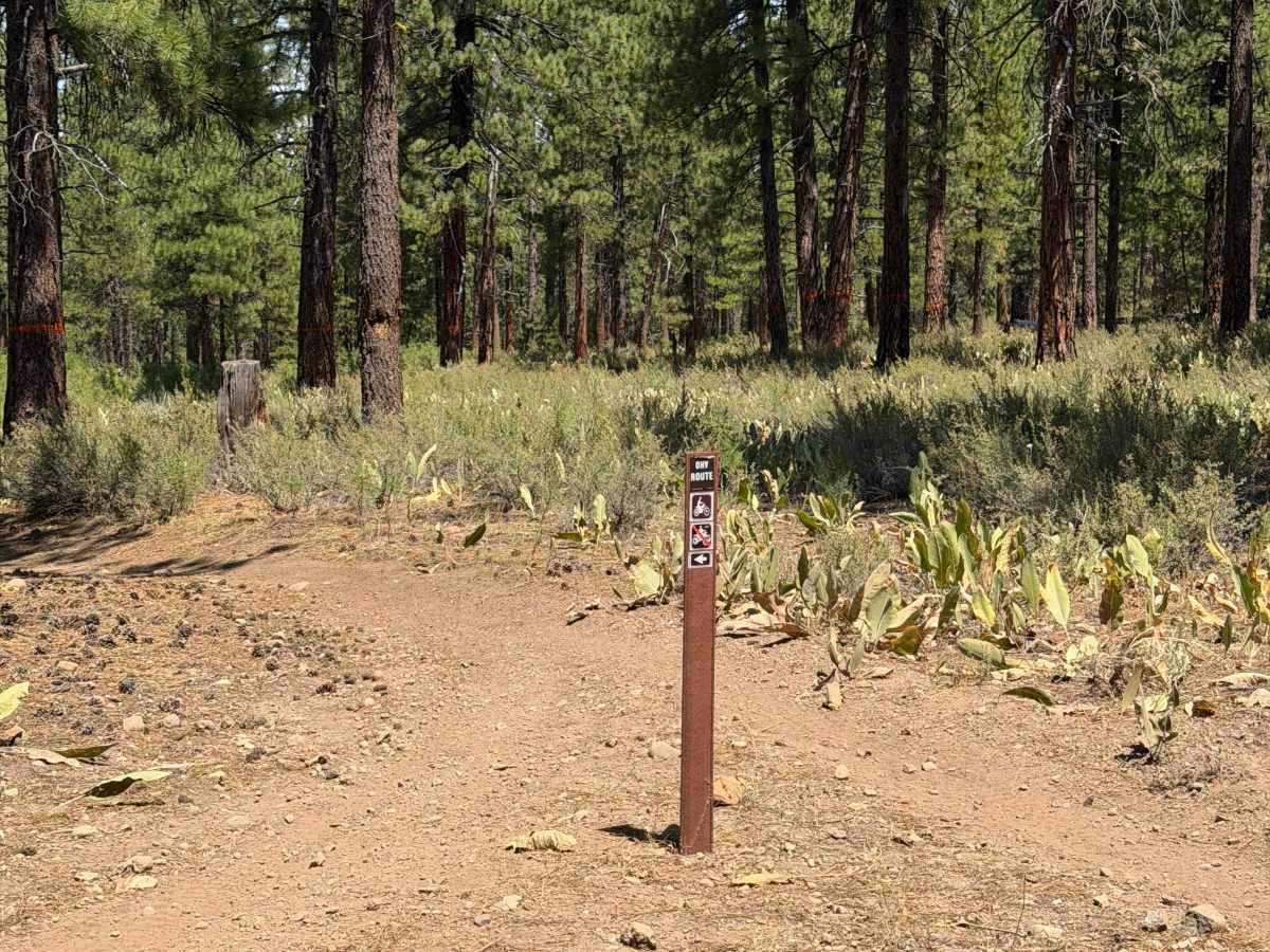 17E20 Connection trail photo