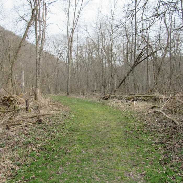 Near Beaver Creek Valley Trail Near Beaver Creek Valley Trail