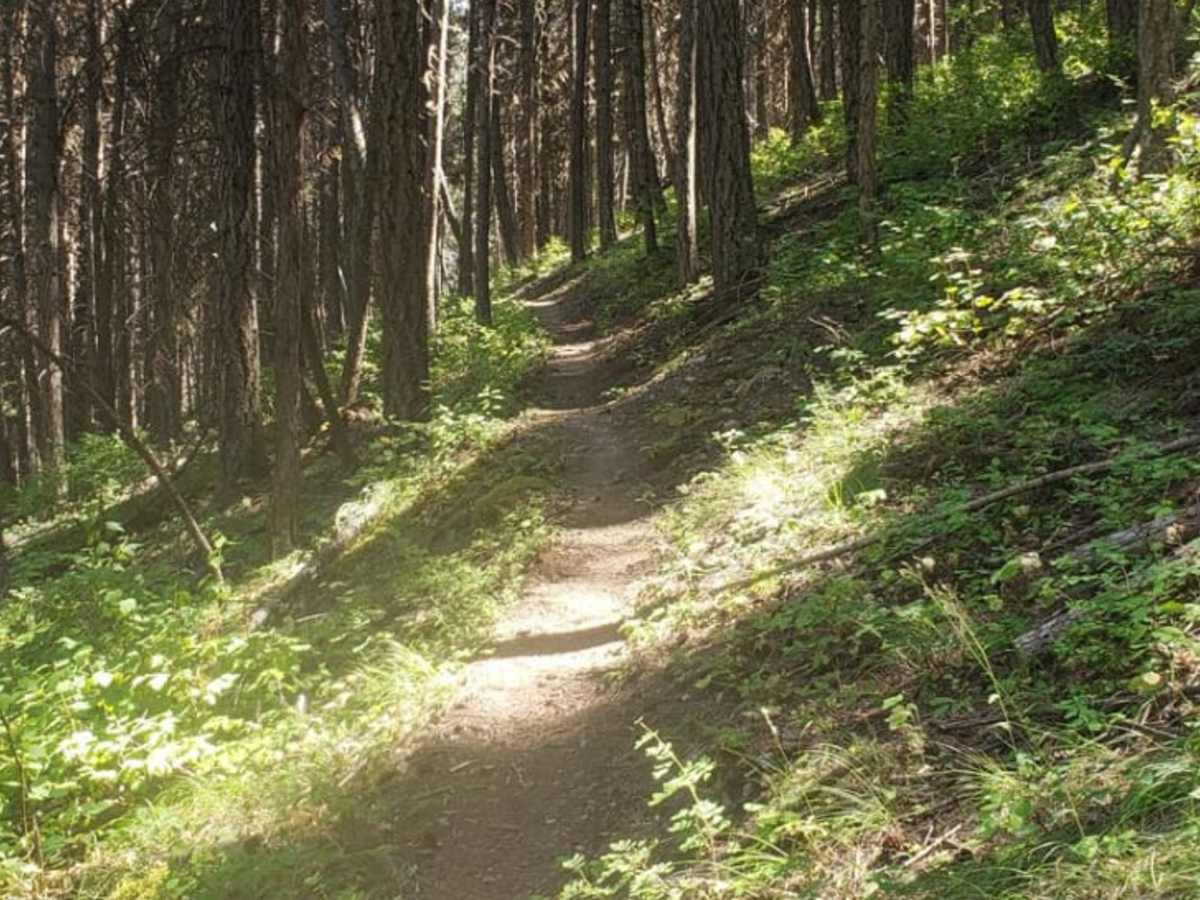 Boyd Mountain photo 5