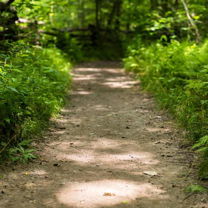 Near John Rock via Cat Gap Loop Near John Rock via Cat Gap Loop