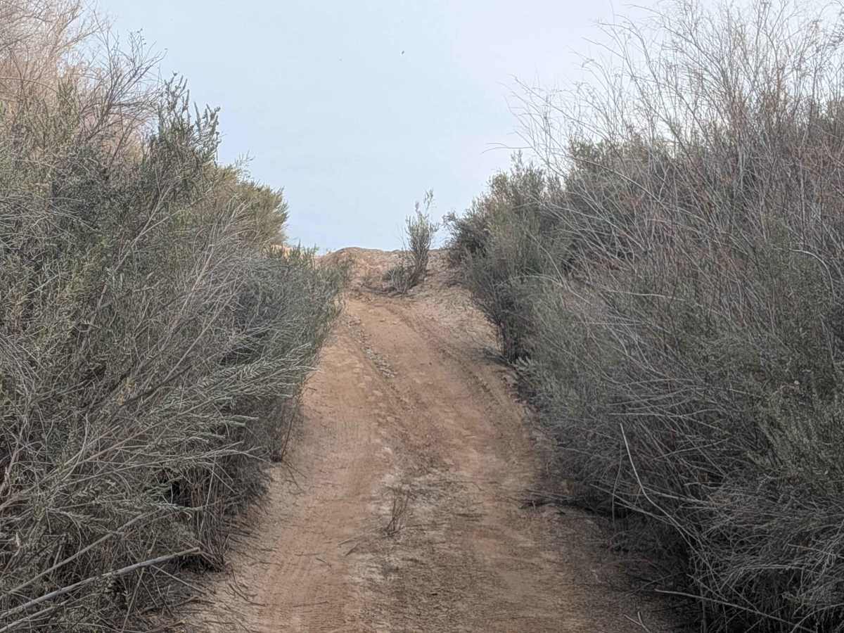 Trigo Wash EC1209 trail photo