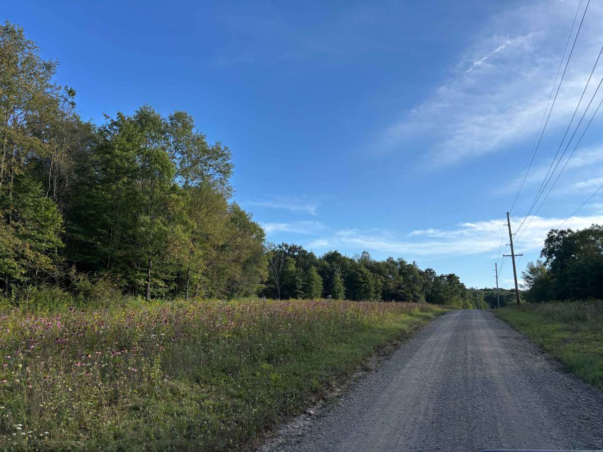 Merril Road photo 2
